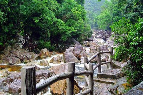 十萬大山|十万大山